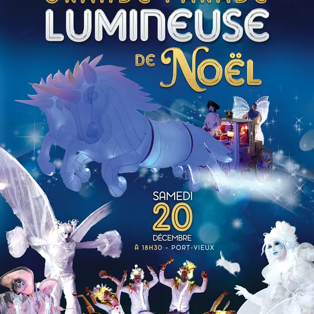 Grande Parade Lumineuse de Noël_La Ciotat