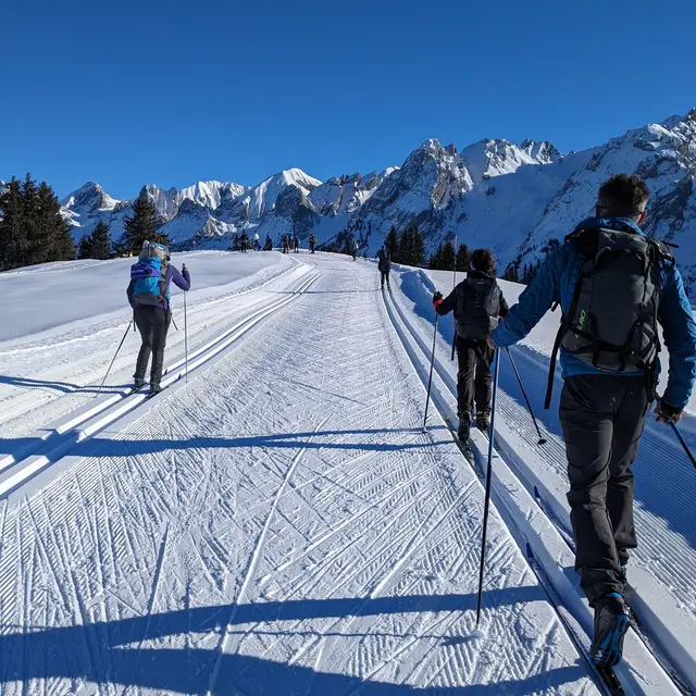Cours de ski de fond collectif pour adulte intermédiaire_Onnion