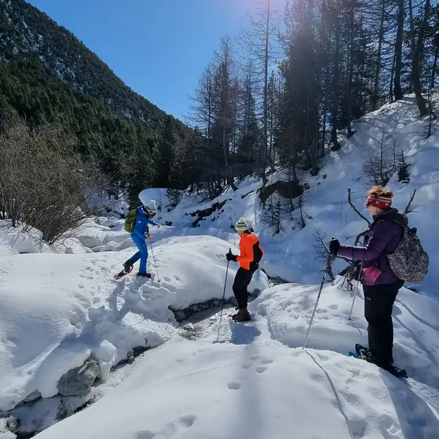 Sorties raquettes, balades accessibles_Montgenèvre