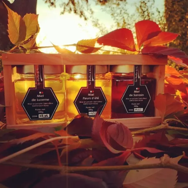 Les Abeilles de Pereguines_Saint-Victor