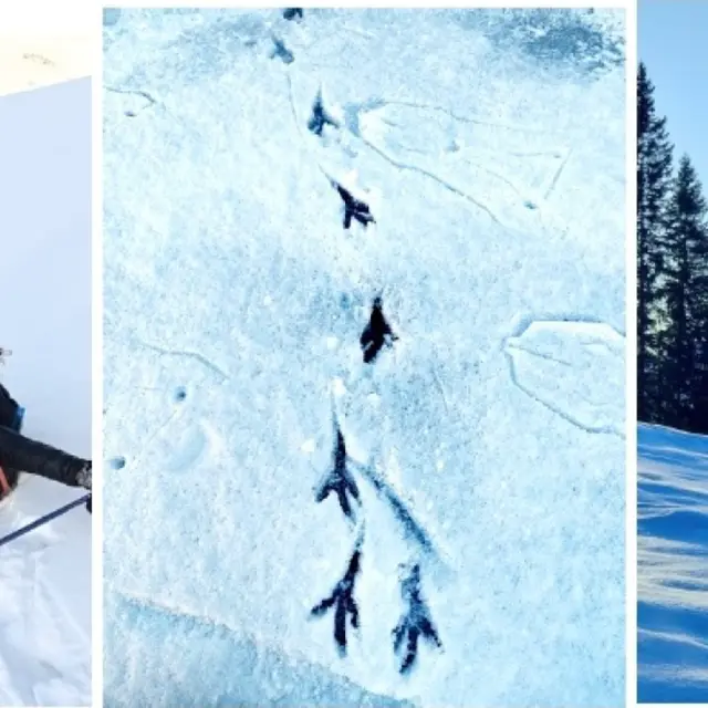 Au cœur des chemins blancs_Habère-Lullin