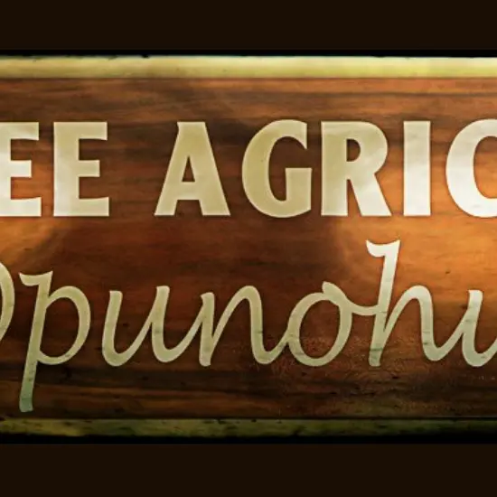 Lycee agricole de opunohu - Tahiti Tourisme