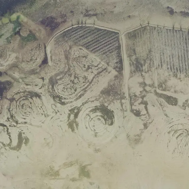 Les géoglyphes de l'estran_Loix