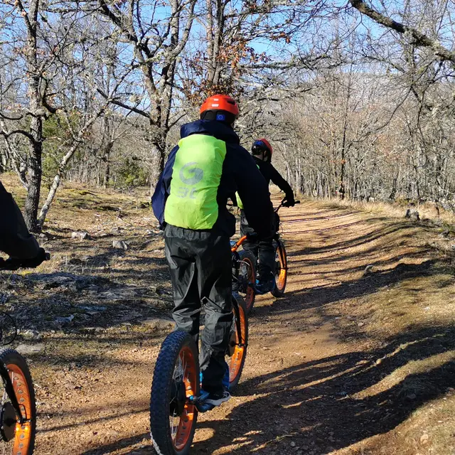 Trottinette tout terrain électrique parc écureuil