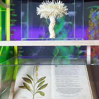 Fête de la Science : Visite libre de l'exposition au Musée des Beaux-Arts_Angers