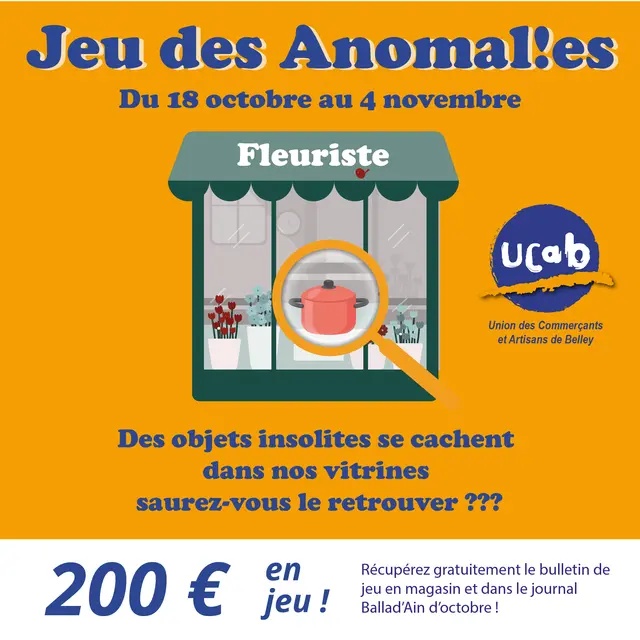 jeu anomalies vitrine 2025