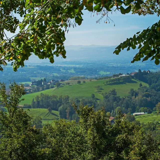 Circuit du Mont Tournier