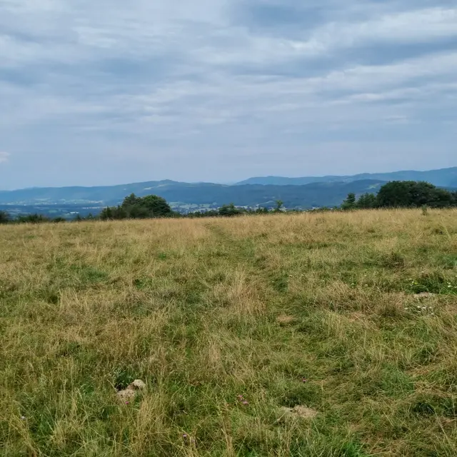 Belvédère du Mont de Rignat - Vignes de Journans et Rignat_Journans