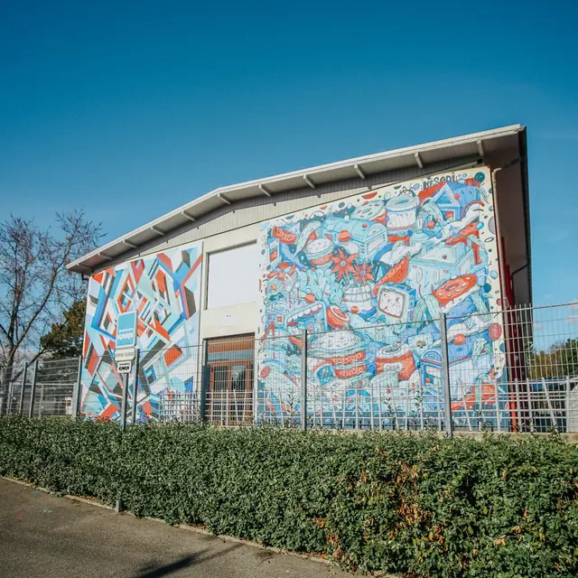 Groupe scolaire La Paix - Street art_Ambilly