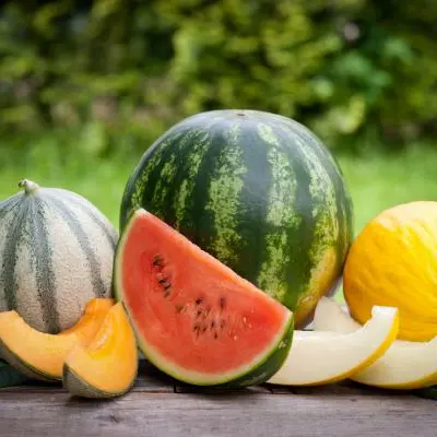 melons pastèques...