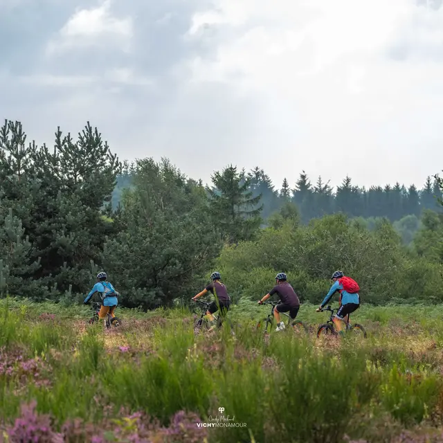 Paysage à la Verrerie à Saint-Nicolas-des-Biefs