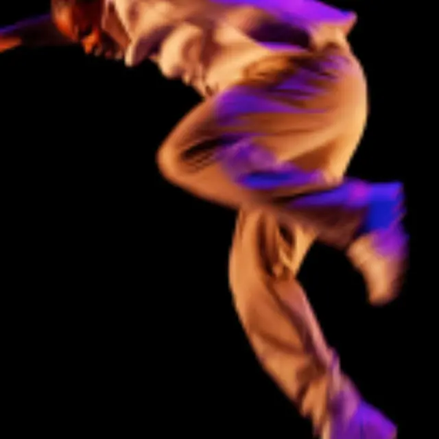 Danse : Mouvement(s)_Chambéry