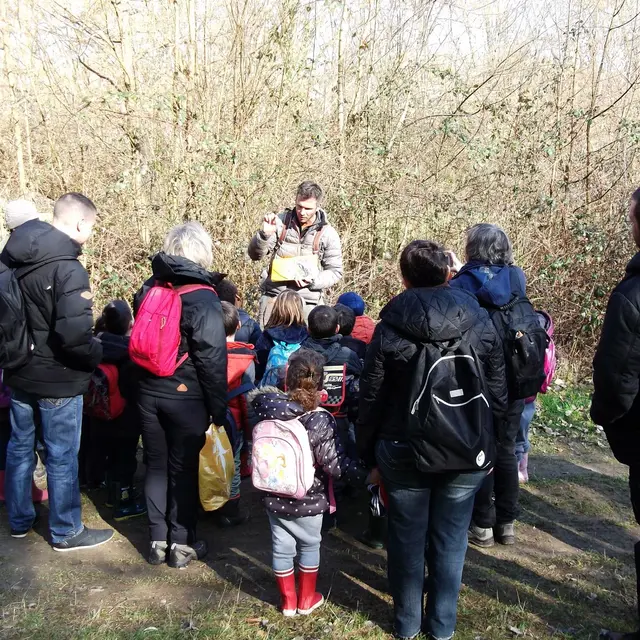 Sortie nature : à la découverte de la biodiversité en forêt_Bilieu