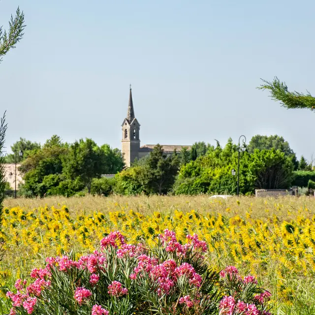 Randonnée à Althen