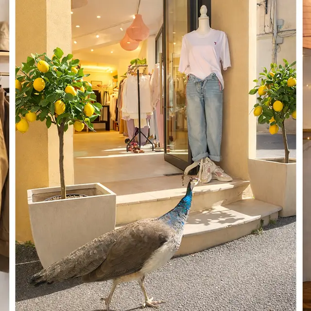 Outlet St-Tropez_Saint-Tropez