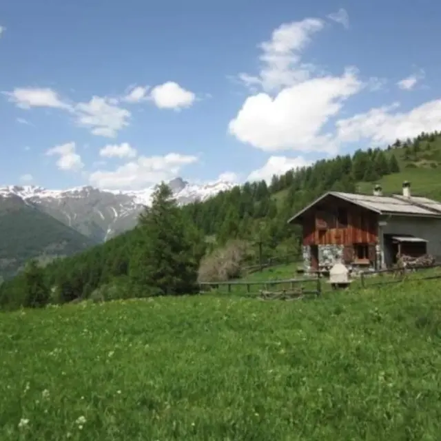 Chalet d'alpage 8 personnes - Le Lauzeron_Aiguilles