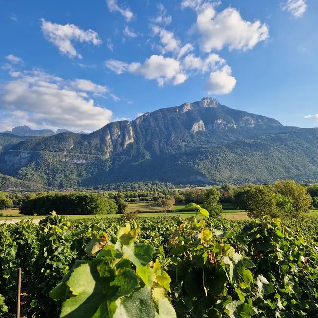 La gourmand'Yze - Balade gourmande et culturelle_Ayse