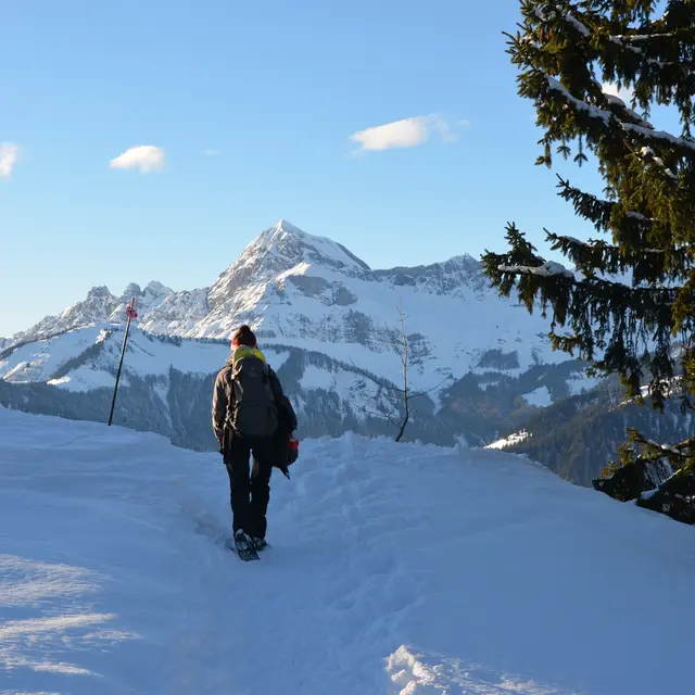 Descente du Mont Lachat