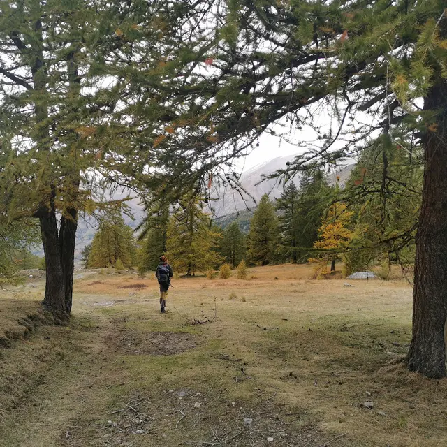 Dam-nature04 - Stages de survie et bien-être