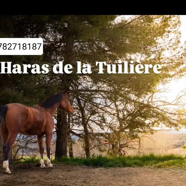 centre équestre haras de la Tuilière