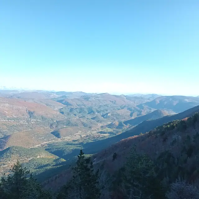 Cartonivo: Trail Le Ventoux côté nature_Bédoin