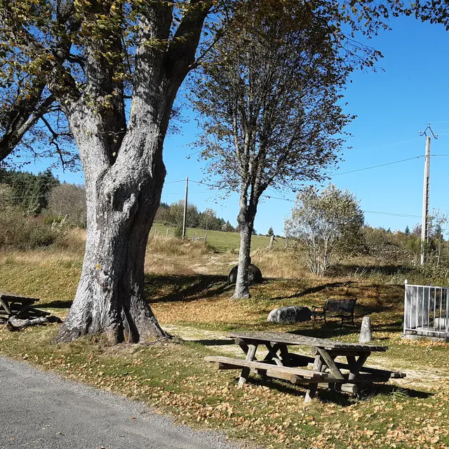 Aire de pique-nique