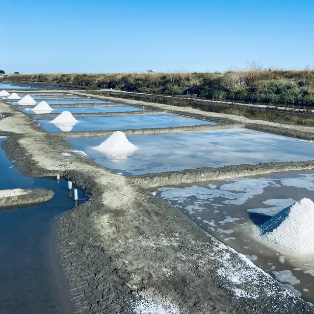 Le marais salant du Sel d'Isabelle