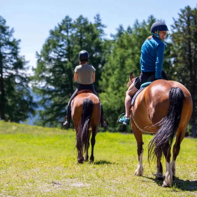 Balade à cheval