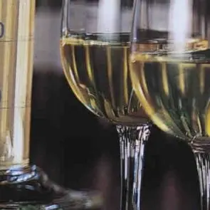 Atelier École des Vins - Carte blanche en Vallée du Rhône_Avignon