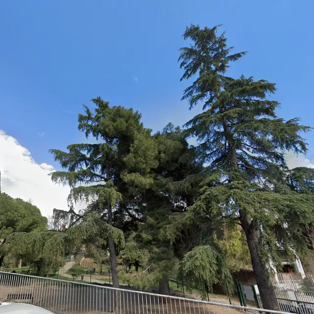 Jardin Paul Scoffier