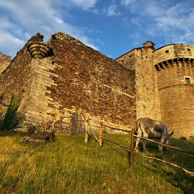 JEP 2025 : le Château d'Aujac : Un château ouvert sur le monde_Aujac