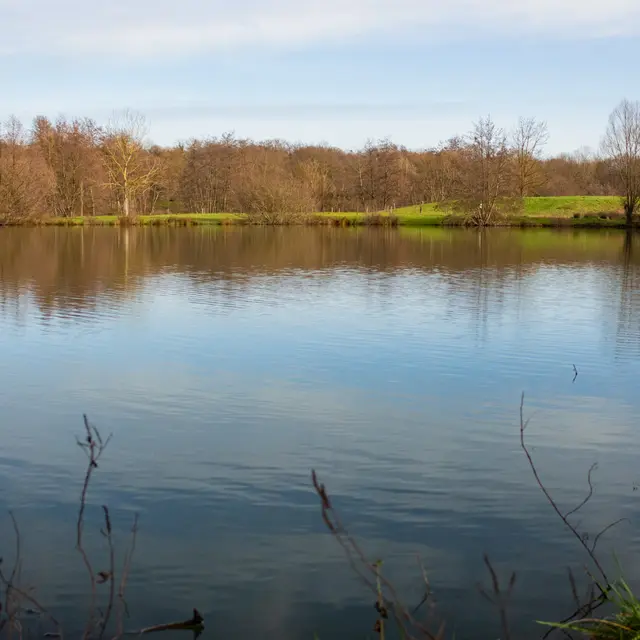 Etang Prés Gaudet