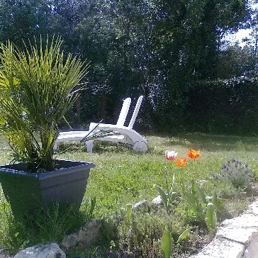 Jardin