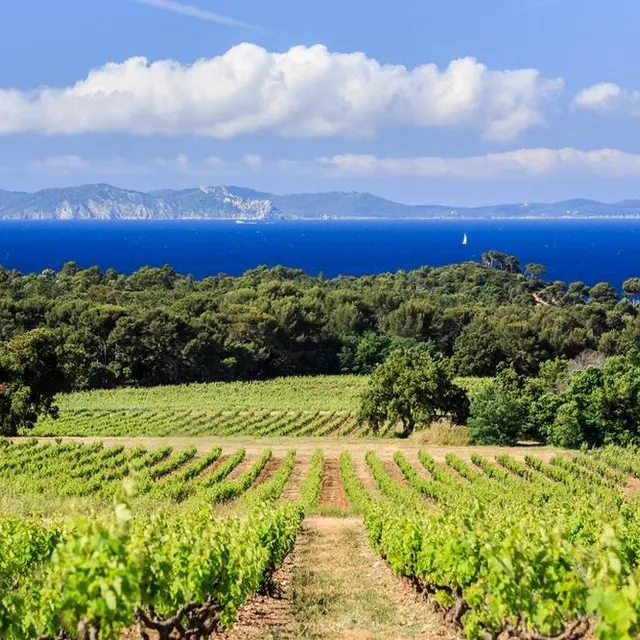 Excursion œnologique en Côtes de Provence – demi journée
