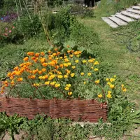 Stage Tressage de l'osier vivant_Manosque