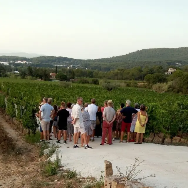 Visite oenoludique