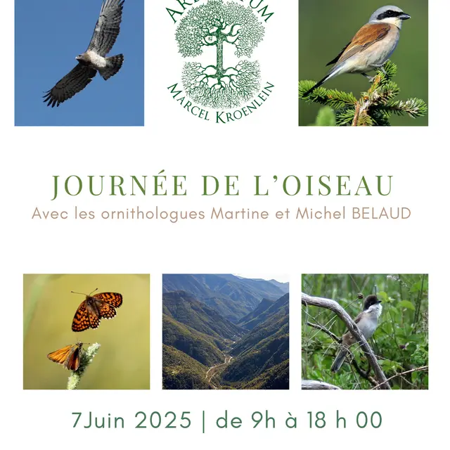 Journée de l'oiseau_Roure