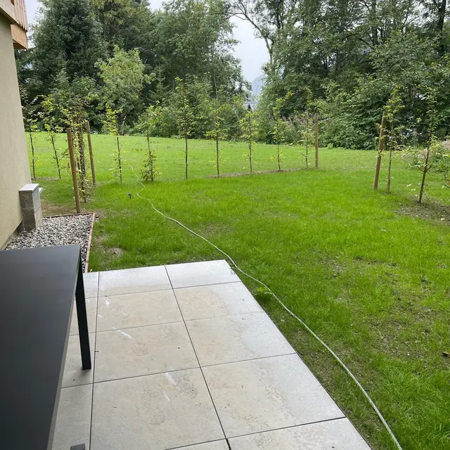 Cottage alpin : jardin coté ouest