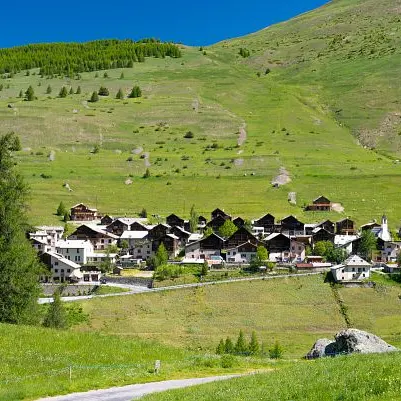 Association pour la Sauvegarde et la Gestion de la Fruitière de Pierre Grosse_Molines-en-Queyras
