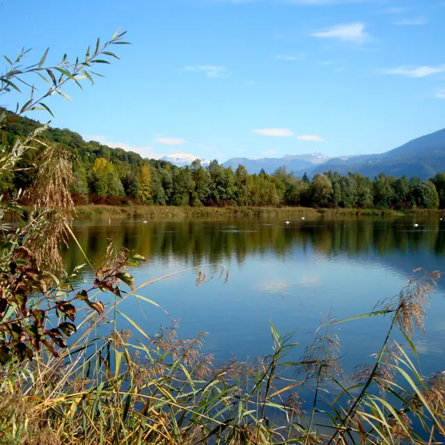 Vue étang