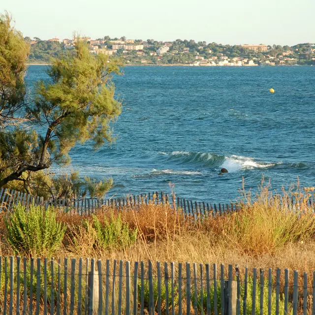Midi Festival_Hyères