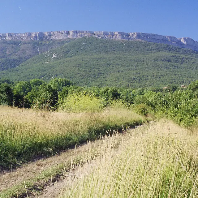 Pourcieux à travers les vignes à vélo