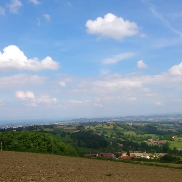 Circuit du Grand Bois