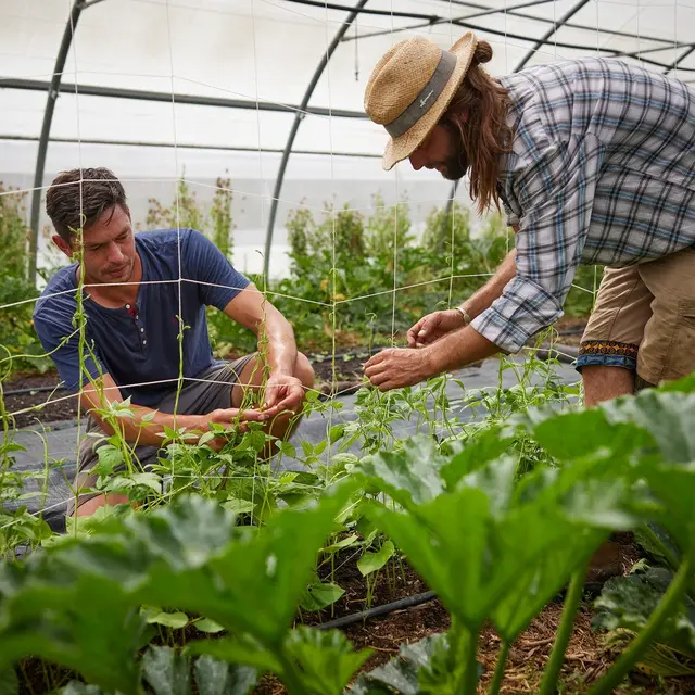 Potagers & Compagnie_Le Val