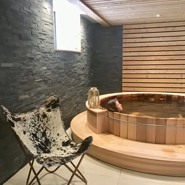 appart- hotel aiguille verte spa