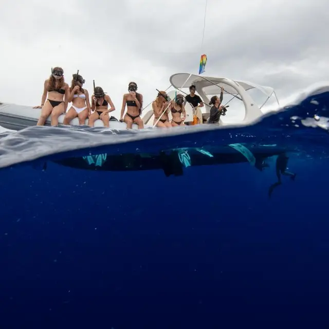 SARL Kavic_Moorea-Maiao