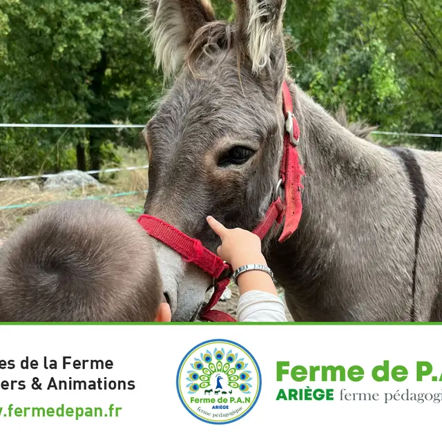 2025.La.ferme.de.pan.principal.CP.RAWA.Swiss