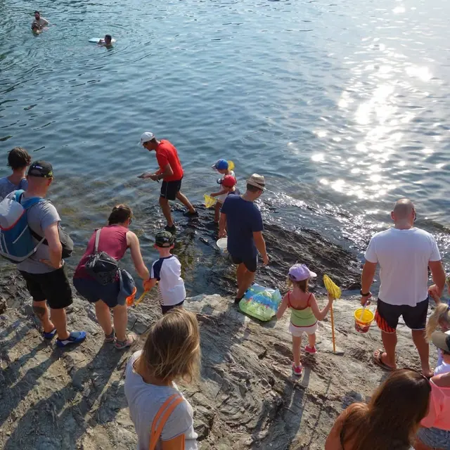 Le petit parcours du littoral - Giens visite guidee enfants avec Fernando Sandoval