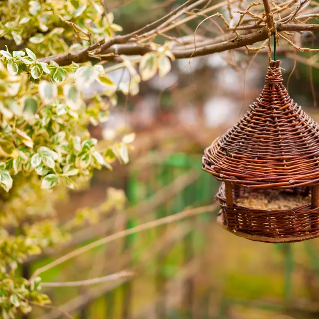 Atelier Vannerie Sauvage : réalisez votre mangeoire pour oiseaux_Tende
