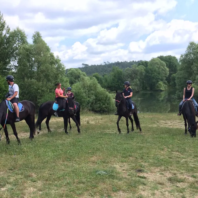 Journée détente à cheval/poney